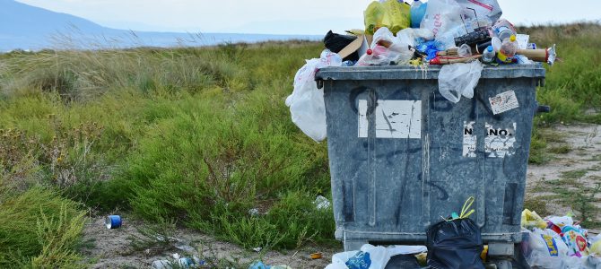 El fin de las bolsas de plástico El fin de las bolsas de plástico
