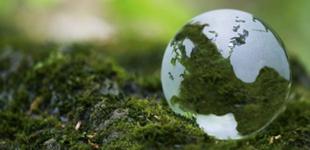 Día Mundial del Medio Ambiente Día Mundial del Medio Ambiente