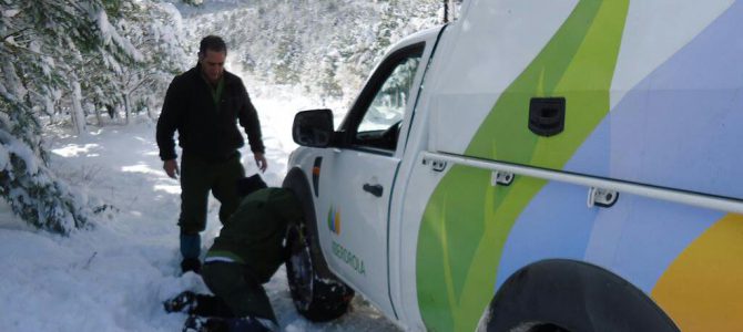 La #GenteIberdrola, a tope en la ola de frío La #GenteIberdrola, a tope en la ola de frío