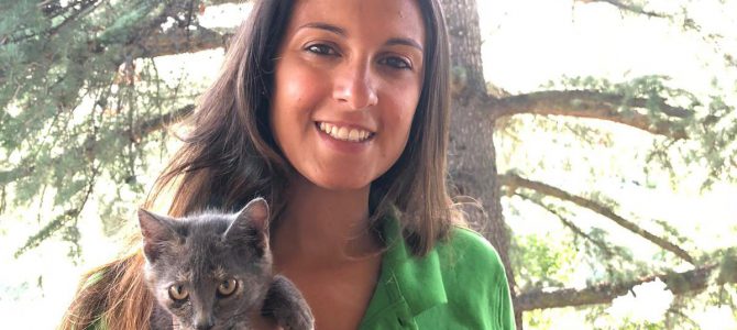 Tokio: la historia de la gata sin rabo que rondaba por Iberdrola Tokio: la historia de la gata sin rabo que rondaba por Iberdrola