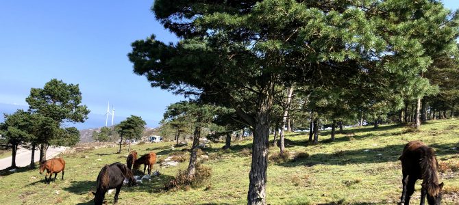 Naturaleza y energías renovables hacen «match» Naturaleza y energías renovables hacen «match»