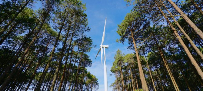 Alargamos la vida de nuestros bosques Alargamos la vida de nuestros bosques
