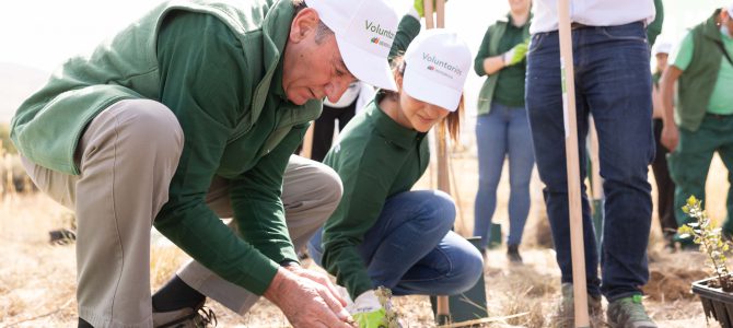 Inclusión y cuidado del medio ambiente en una iniciativa de reforestación en Solosancho Inclusión y cuidado del medio ambiente en una iniciativa de reforestación en Solosancho